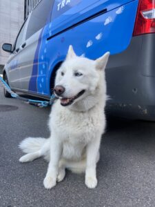 Annsah, from Dallas, TX, USA to Geneva, Switzerland