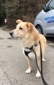 Arturo, from Zurich, Switzerland to Miami, FL, USA