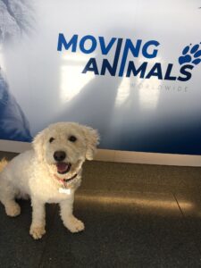 Clyde, from London, GB to Zurich, Switzerland