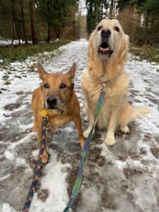 Swagger & Kiki, from Zollikon, Switzerland to New York, USA