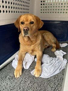 Sydney, Labrador, from Zurich, Switzerland to Melbourne, Australia